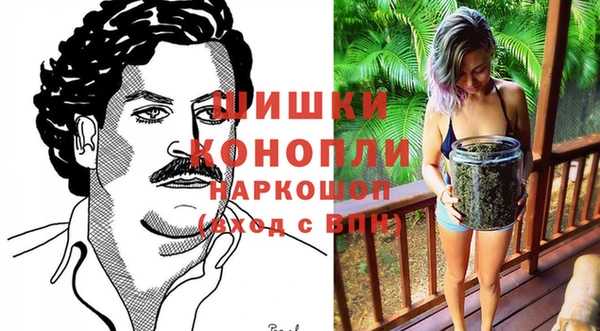 гашик Новокубанск