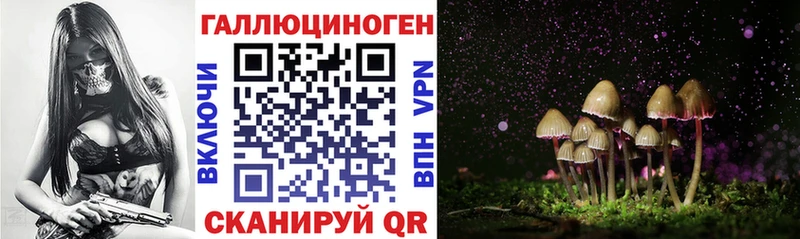 Псилоцибиновые грибы мицелий  наркошоп  Зерноград 