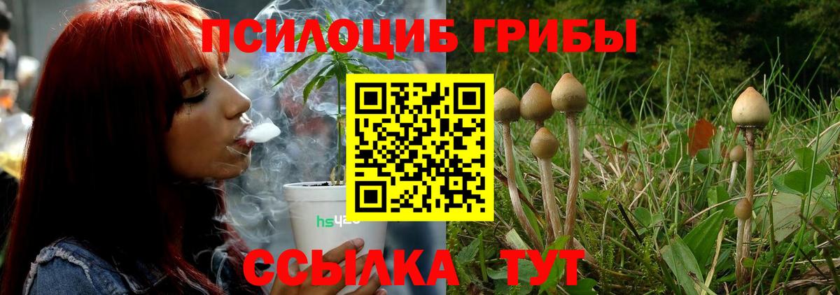Псилоцибиновые грибы Psilocybe  Вход с VPN  Зерноград 