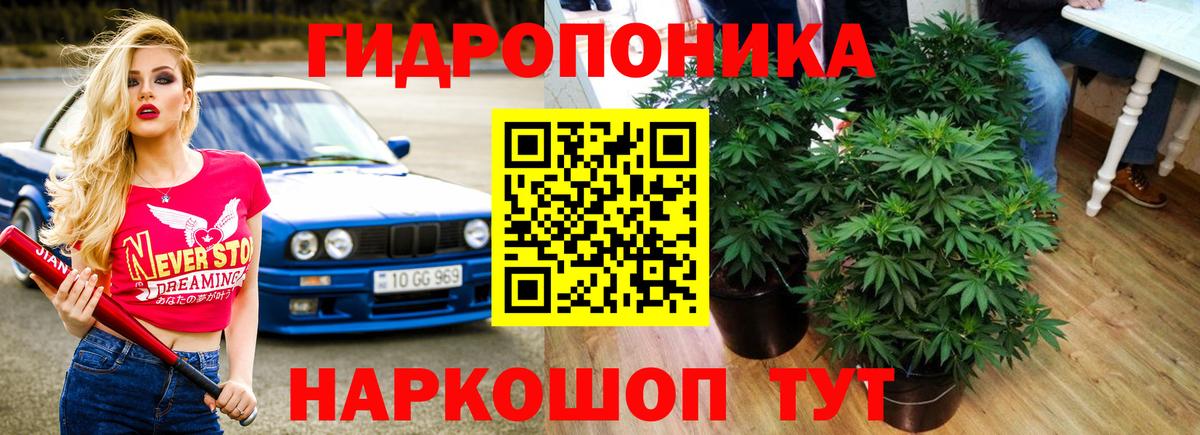 Бошки Шишки план  Конопля LSD WEED  Зерноград  Вход с VPN  Бошки Шишки MAZAR 